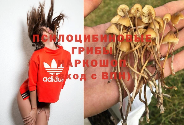 ALPHA PVP Алексин