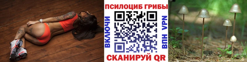 blacksprut ССЫЛКА  Кольчугино  мориарти какой сайт  Псилоцибиновые грибы ЛСД 