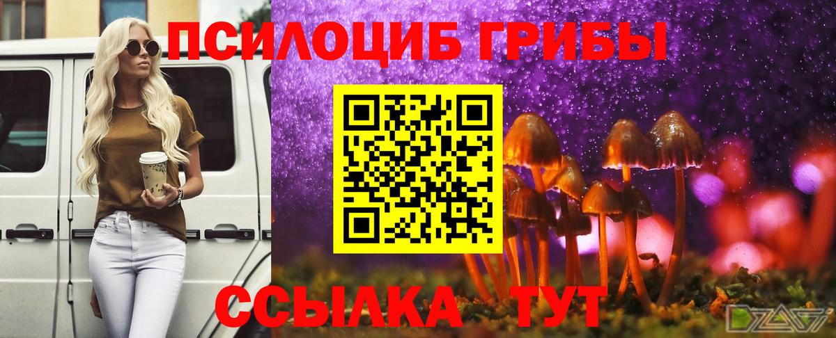 Кольчугино  Псилоцибиновые грибы Cubensis  где купить наркотик  Вход с VPN 